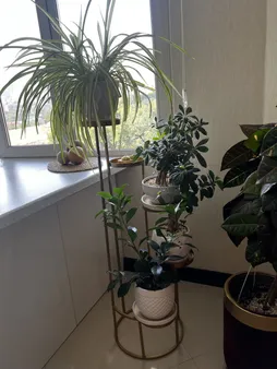 استند گلدان مدل پیچک