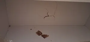 تجریه خرید کتابخانه مدل FH95