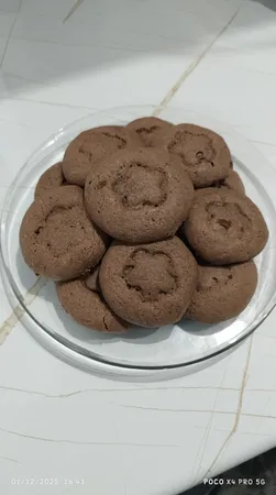 هواپز ۸ لیتر گوسونیک مدل GAF-108