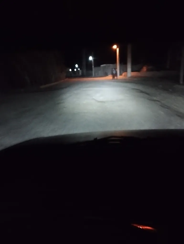 لامپ هدلایت خودرو مدل C6 H4 بسته دو عددی