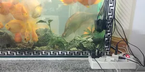 تجریه خرید چندراهی برق هوشمند مدل WSD-P004