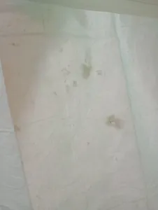 تجریه خرید زیرانداز بهداشتی تعویض نوزاد مدل Emb بسته 10 عددی