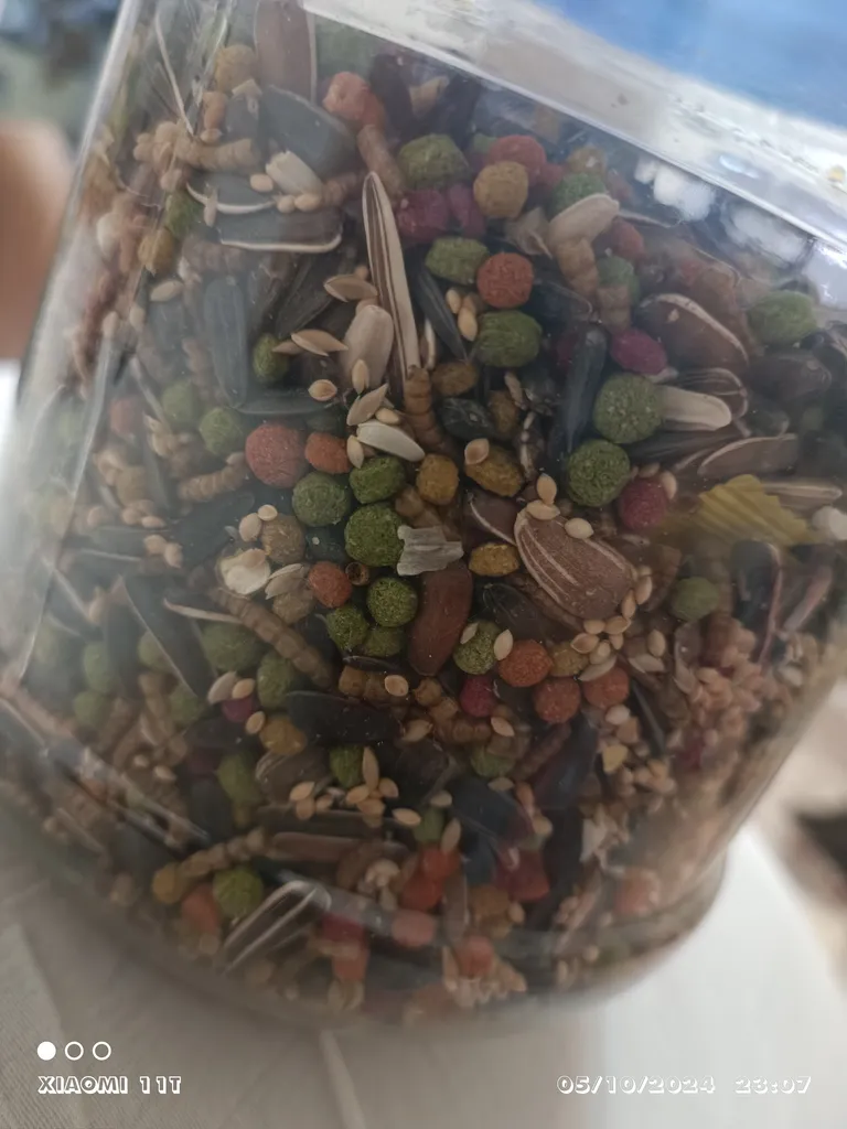 غذای مخلوط طوطی توییتی مدل 001 وزن 1 کیلوگرم