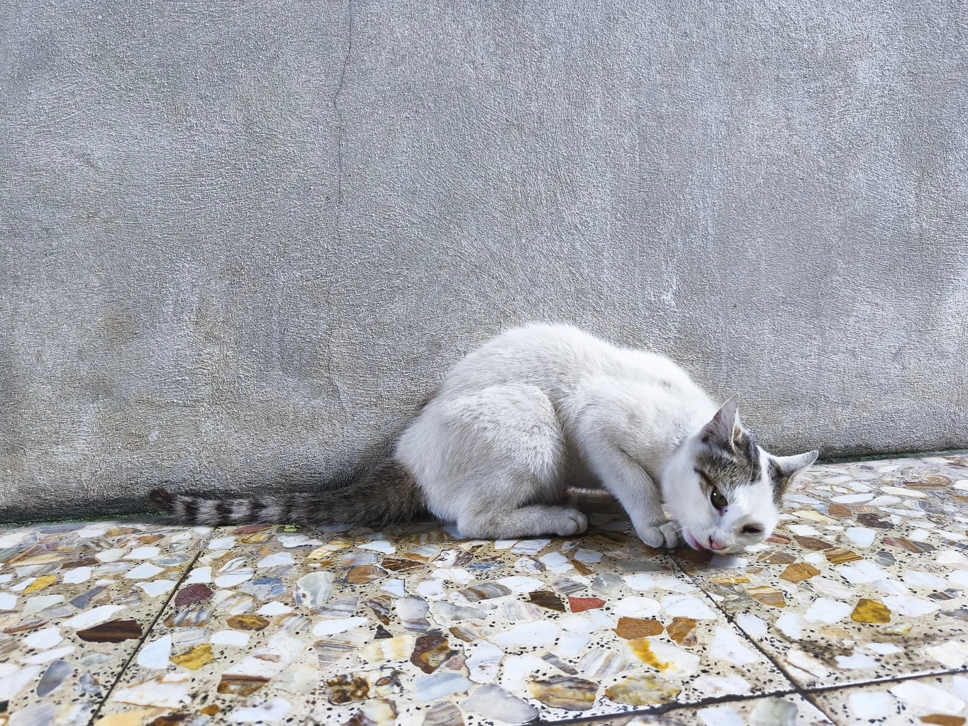 گوشی موبایل شیائومی مدل Redmi Note 14 Pro 5G دو سیم کارت ظرفیت 512 گیگابایت و رم 12 گیگابایت