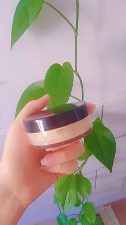 پودر تثبیت کننده آرایش لالا رخ شماره 01