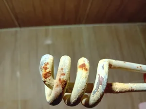 تجریه خرید المنت اب جوش آور مدل E1