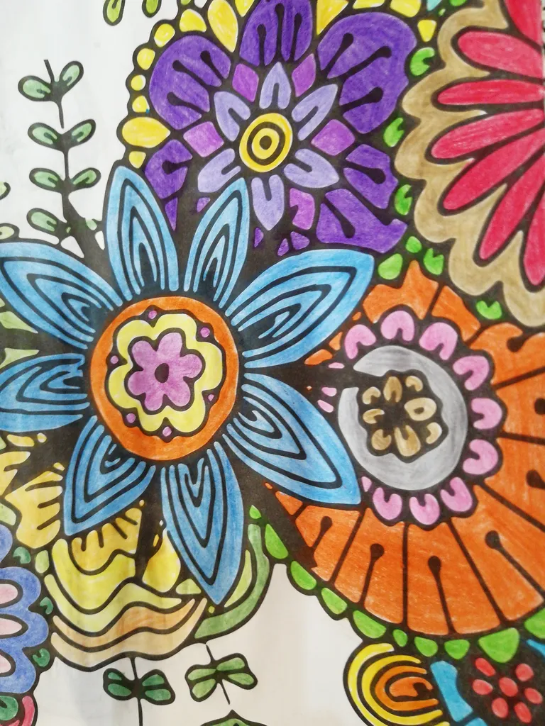 مداد رنگی 24 رنگ فکتیس