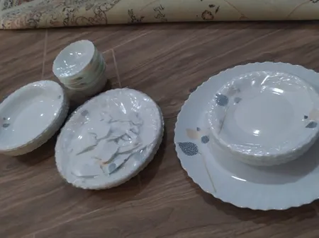 سرویس غذاخوری 25 پارچه گلدن اوپال مدل شاخه نبات کد Carine