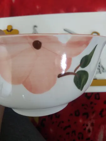 کاسه طرح بهار گل ها کد Fs006 مجموعه 6 عددی