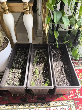 گلدان مدل پلاستیکی مستطیلی کد Sh36-3 مجموعه 3 عددی