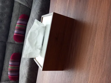 جعبه دستمال کاغذی رایکا مدل HA257