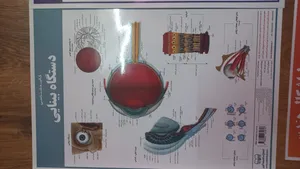 تجریه خرید پوستر آموزشی انتشارات اندیشه کهن مدل کالبدشناسی دستگاه بینایی کد 35-50