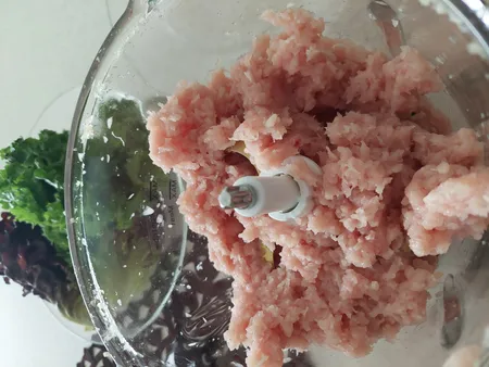 خردکن گوسونیک مدل GSC-602