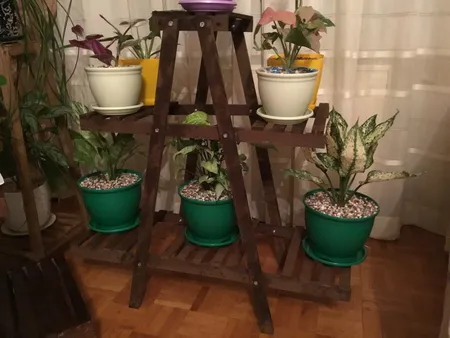 استند گل و گلدان مدل classic 02