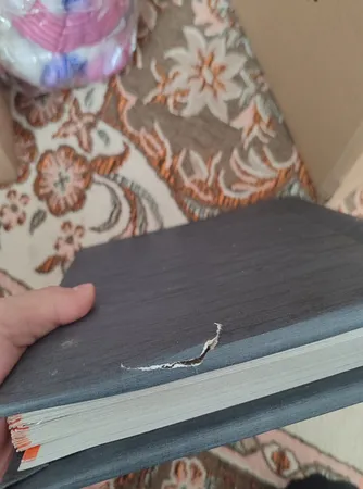 آلبوم عکس مدل چسبی 20 m