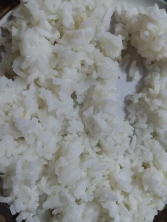 برنج استخوانی شمال - 10 کیلوگرم