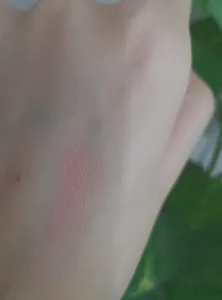 تجریه خرید رژگونه فستیوال شماره 802