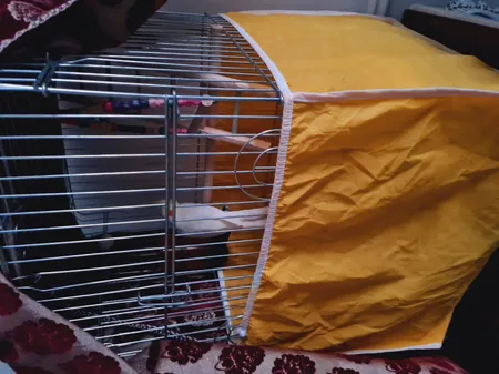 کاور قفس عروس هلندی مدل 1033