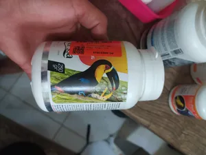 تجریه خرید غذای کمکی پرندگان پرسا مدل Probiotic وزن 250 گرم