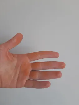 ساز چوبک زیکو مدل Claves بسته دو عددی