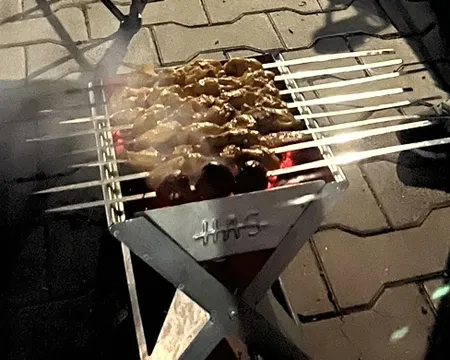 منقل تاشوسفری مدلBraner