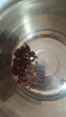 مویز با هسته گوشتی لرانه - 500 گرم