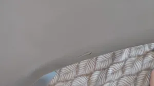 تجریه خرید صندلی بنیزان مدل افرا