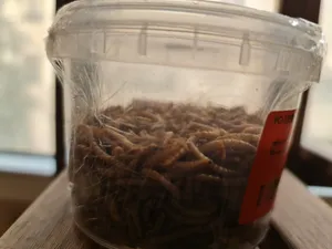 تجریه خرید غذای ماهی و لاک پشت فود فارمز لند مدل میلورم وزن 50 گرم