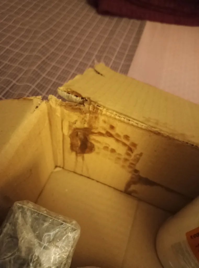 اسپری محافظ حرارتی مو فولیکا مدل Heat Primer حجم 200 میلی لیتر