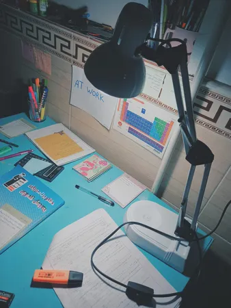 چراغ مطالعه صنایع کریم زاده مدل EN-111