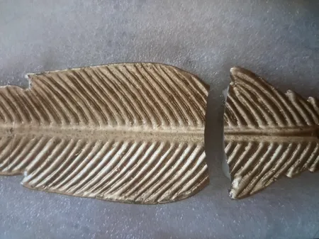 جاعودی مدل پر اکالیپتوس