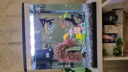 کلبه حباب ساز تزیینی آکواریوم کد 0011