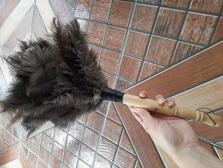 گردگیر مدل T