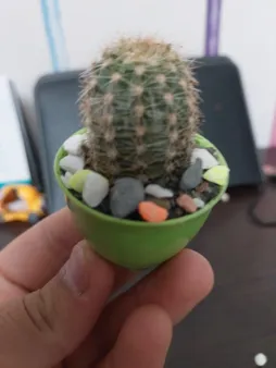 گلدان کلاسیک مدل G3004 مجموعه 50 عددی