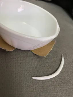 سرویس غذا خوری 25 پارچه مدل ادیسه