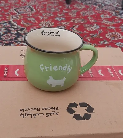 ماگ رجینال کد 1