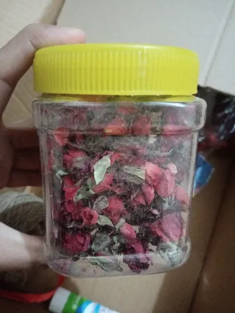 غنچه گل رز خشک مدل sanaz