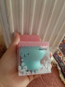 برس پاک‌سازی مدل B 0101