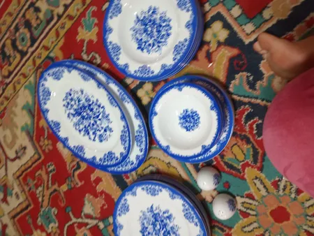 سرویس غذاخوری 28 پارچه چینی زرین ایران سری ایتالیا اف مدل فلورانس درجه سه