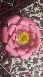 مقوا رنگی تیما کد BG سایز 25x35 سانتی متر بسته 50 عددی