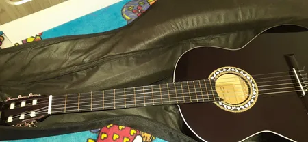 گیتار دایموند مدل TS600