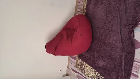 بین بگ سندس مدل گلابی کد دوبل d001