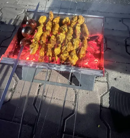 منقل تاشوسفری مدلBraner