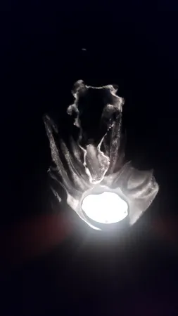 جاعودی آوش دکور مدل آبشاری طرح روح