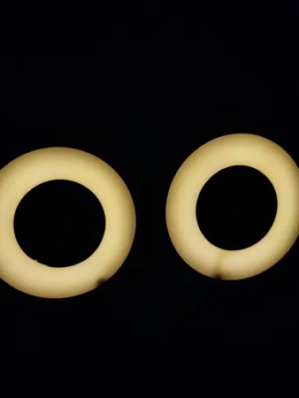 چراغ مطالعه مدل TWIN-FLEX