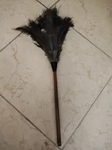 تجریه خرید گردگیر آلین مدل Ostrich Feather 5