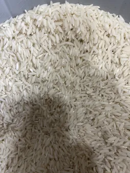 برنج طارم عطری ممتاز مازندران - 10 کیلوگرم