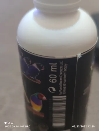 محلول مولتی ویتامین پرندگان کوچک ویتاماین مدل SMLBRD حجم 60 میلی لیتر