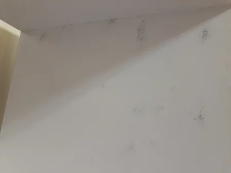 کتابخانه مدل FH103