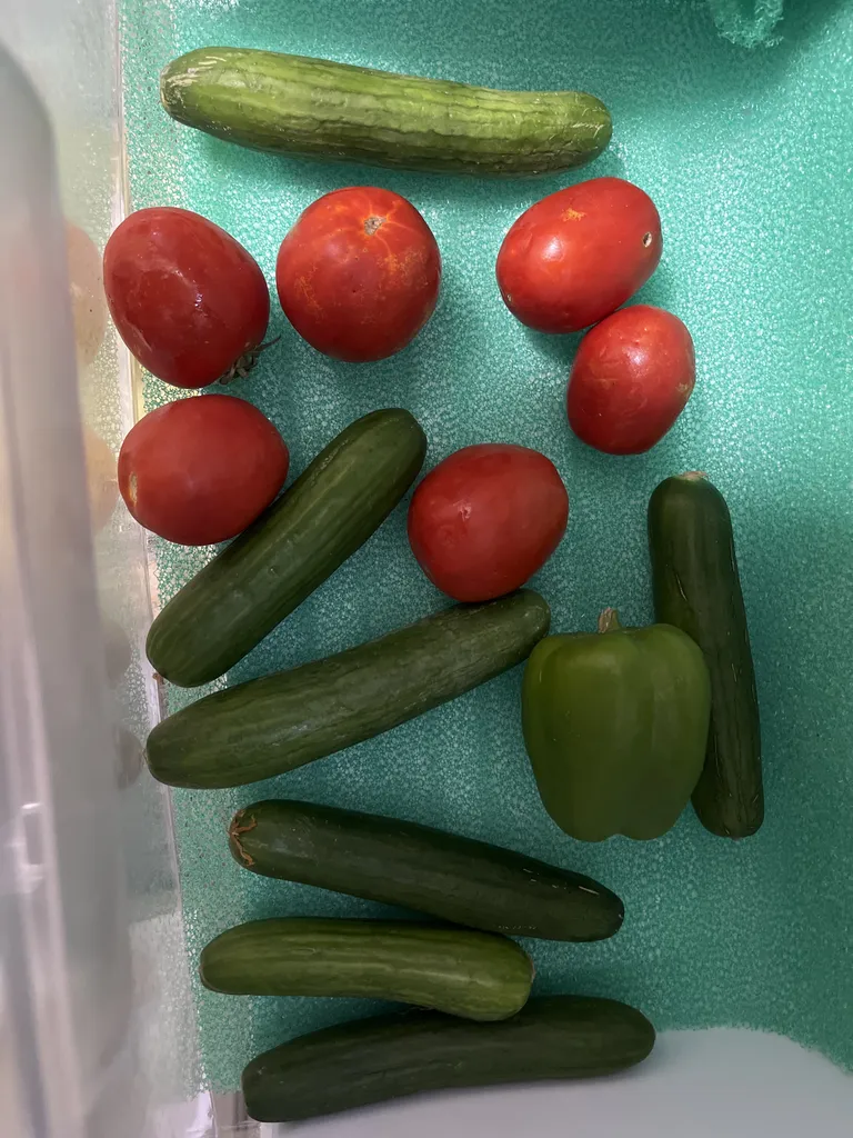 روکش طبقات یخچال دکوبلا مدل yesil